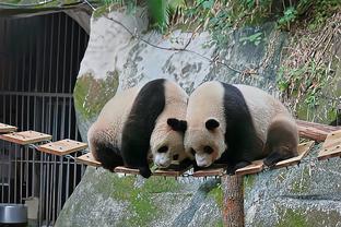 雷竞技冠名活动截图0